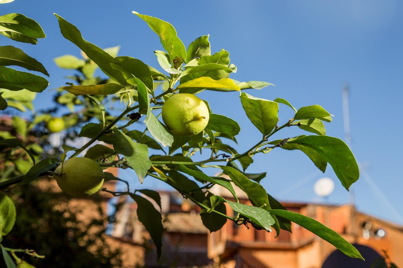 Trastevere Apartments Rome Luaran gambar